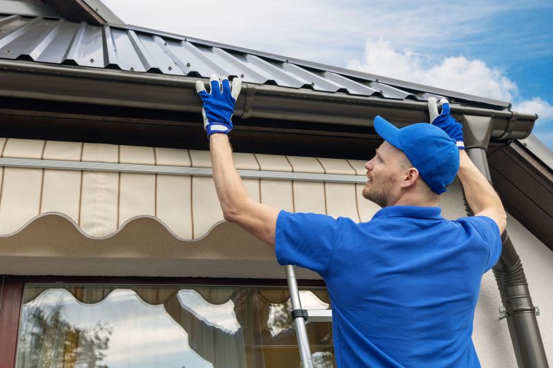 Gutter Maintenance Technicians